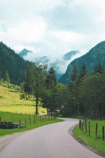 A winding road cuts through lush greenery, surrounded by towering pine trees and grassy fields. The backdrop features majestic mountains partially shrouded by mist and clouds, creating a serene and picturesque landscape.
