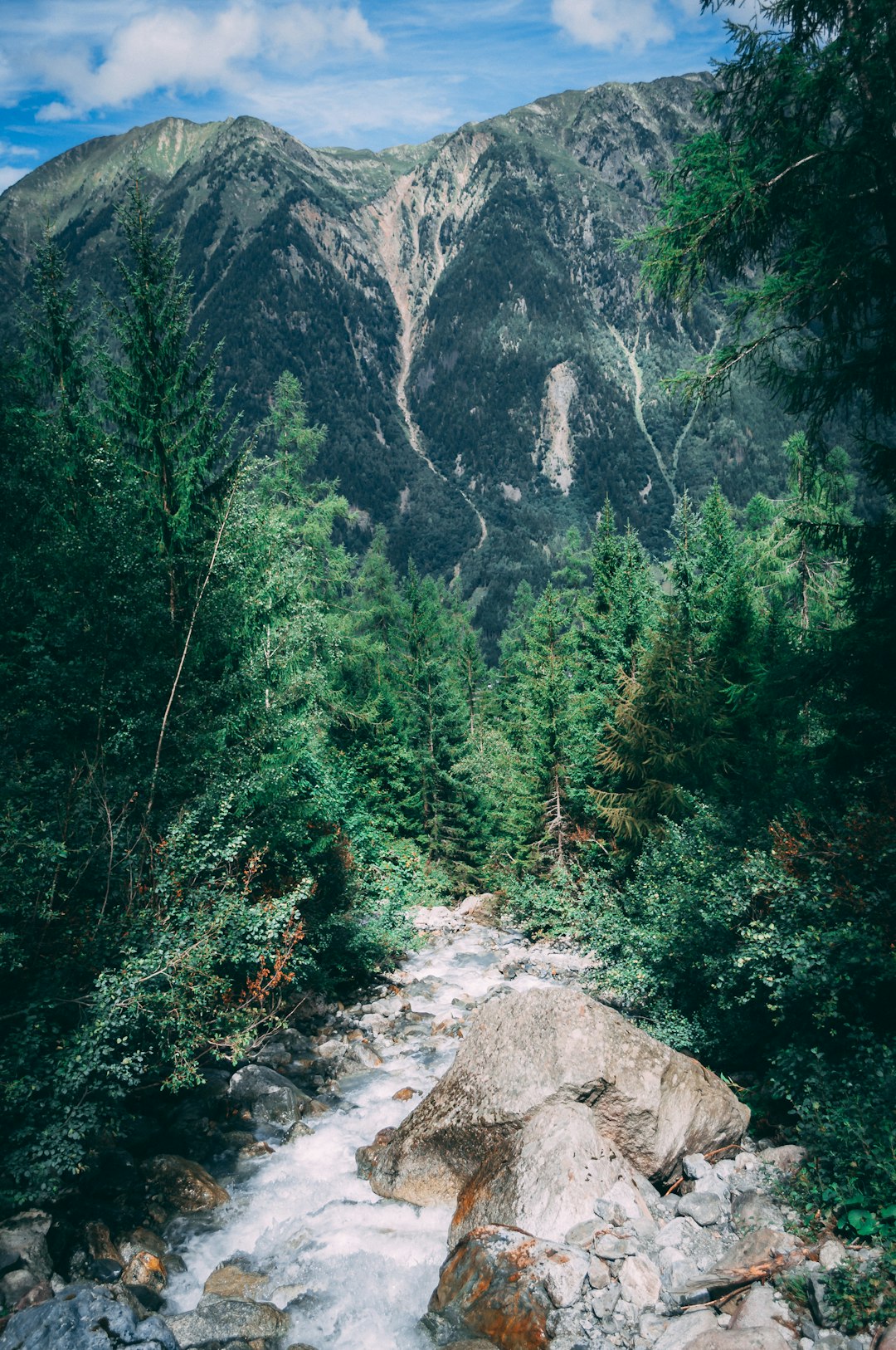 Nature reserve photo spot Swiss Alps Kiesen