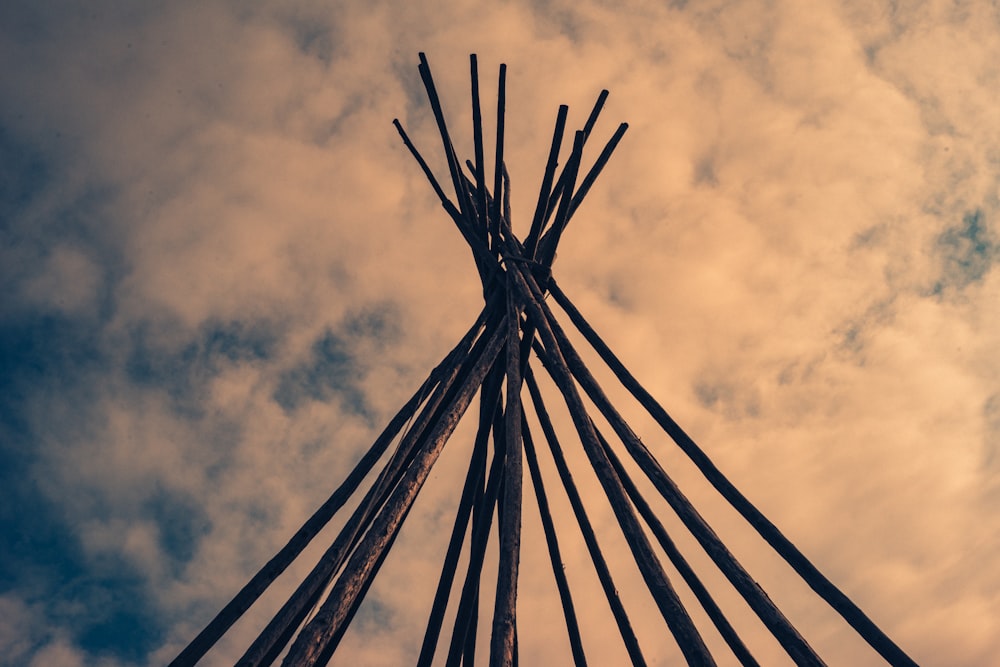 low angle photography of brown sticks