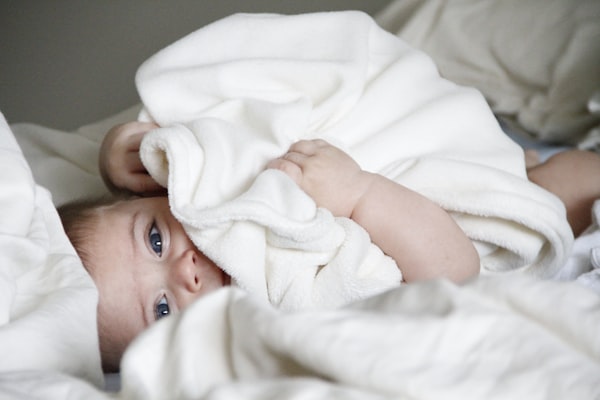 Say Goodbye to Cold Wipes! These 10 Wipe Warmers Will Keep Your Baby Cozy in 2023