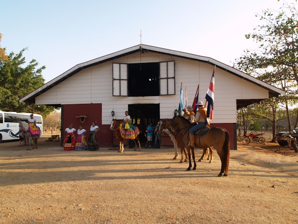 A vibrant equestrian marketplace showing diverse people interacting with horses in a sunny ranch setting.