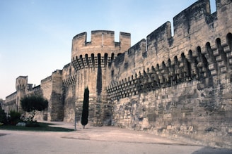 A historic stone fortress with crenellated walls and round towers stands against a clear sky. The structure is made of aged sandstone, giving it a weathered appearance. Sparse greenery, including a single tall tree and some shrubs, line the walkway adjacent to the fortress.