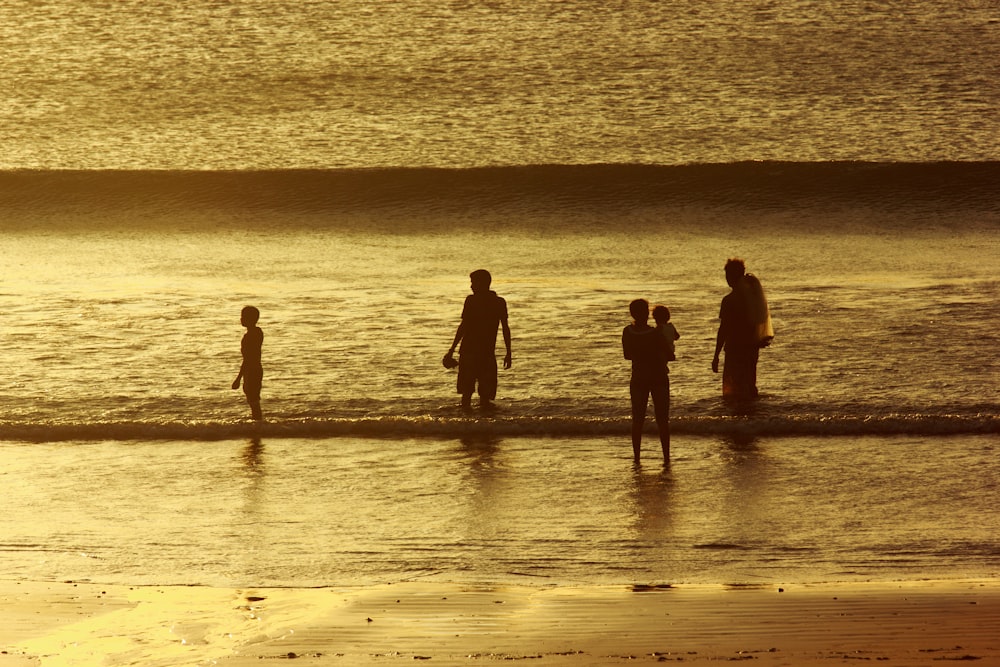 people walking on shore during golden time