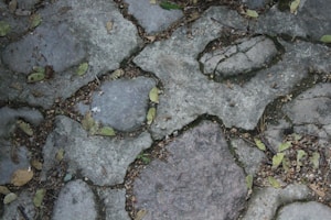 The image features a cobblestone path with irregularly shaped stones. The stones are surrounded by soil and small pebbles. Scattered around the stones are dry leaves and twigs, adding a natural touch to the scene.