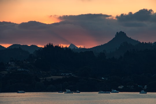 mountains under golden hour in Pauanui New Zealand