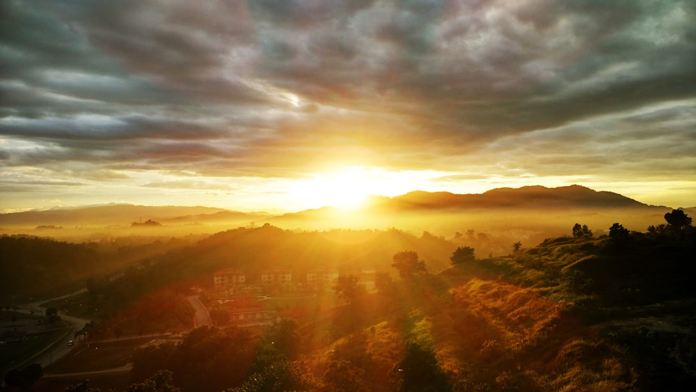 tree field at golden hour panoramic photography