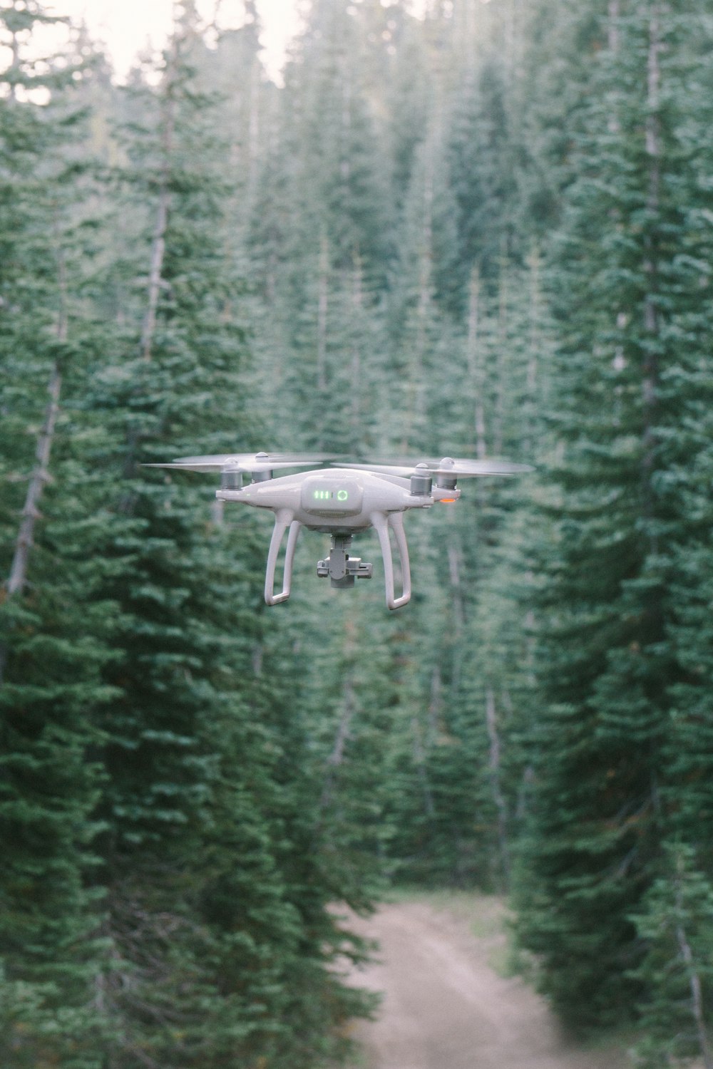 Drone quadricóptero cinza no meio da floresta durante o dia