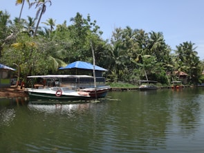A peaceful dock surrounded by lush greenery along the UNESCO waterway.