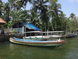 A group of boats is moored on a calm waterway surrounded by lush green vegetation and tall palm trees. There is a building with a red-tiled roof partially visible, and colorful tarps cover part of the structure. The boats are painted in vibrant colors and the scene is sunlit, creating a serene and picturesque setting.