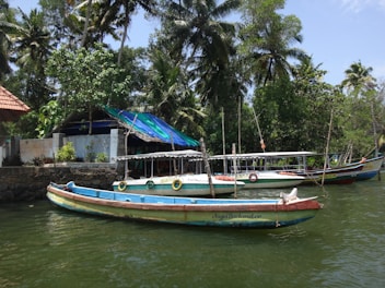 A group of boats is moored on a calm waterway surrounded by lush green vegetation and tall palm trees. There is a building with a red-tiled roof partially visible, and colorful tarps cover part of the structure. The boats are painted in vibrant colors and the scene is sunlit, creating a serene and picturesque setting.