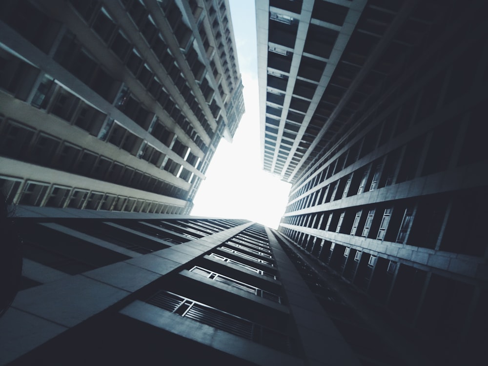 low angle photography of high-rise buildings