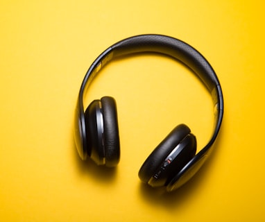 flatlay photography of wireless headphones