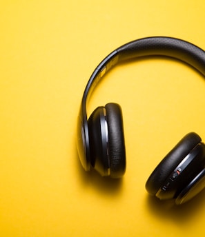 flatlay photography of wireless headphones