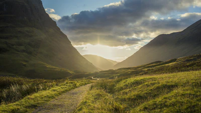 Golden hour light illuminating a mountain trail with wildflowers along the path.