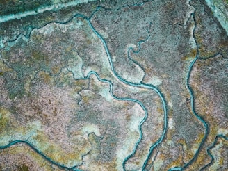 an aerial view of a body of water