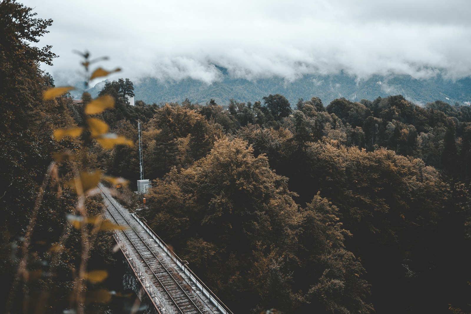 Canon EOS 5D Mark II + Canon EF 35mm F2 sample photo. Train tracks near forest photography