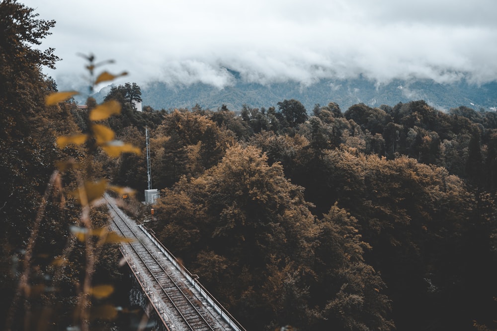 train tracks near forest under cloudy sky