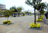 Wide paved streets bordered by sidewalks and trees, showcasing the organized urban plan