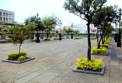 Wide paved streets bordered by sidewalks and trees, showcasing the organized urban plan