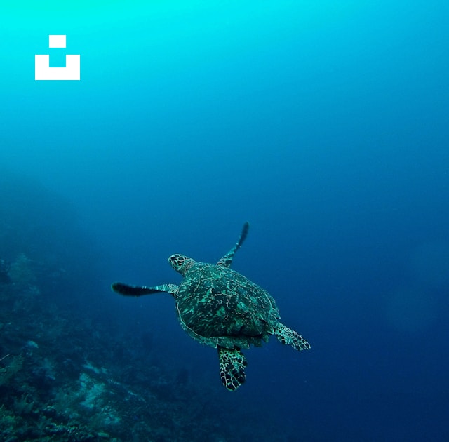 UnsplashのErin Simmonsが撮影した写真