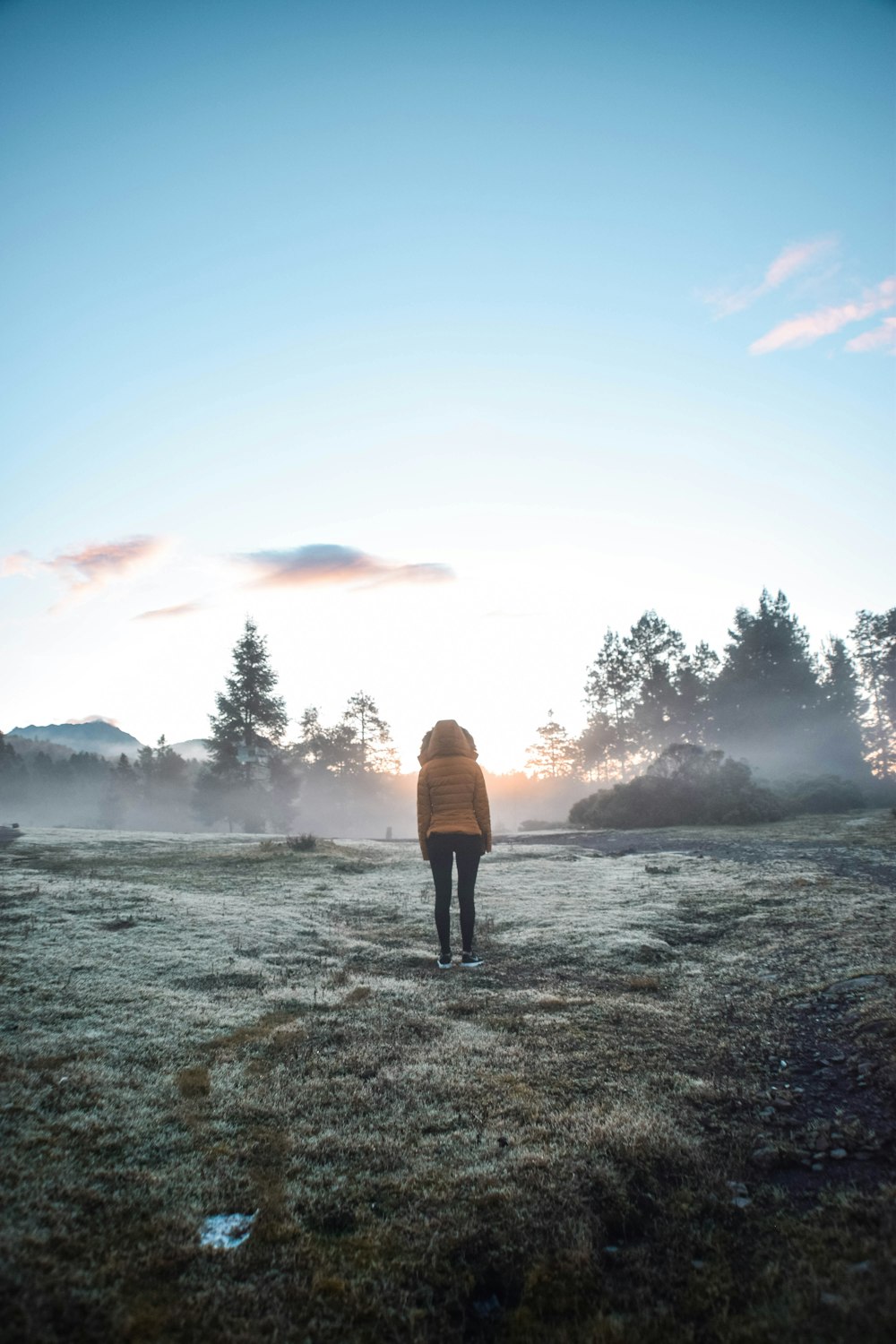 woman standing on brown grass field during daytime