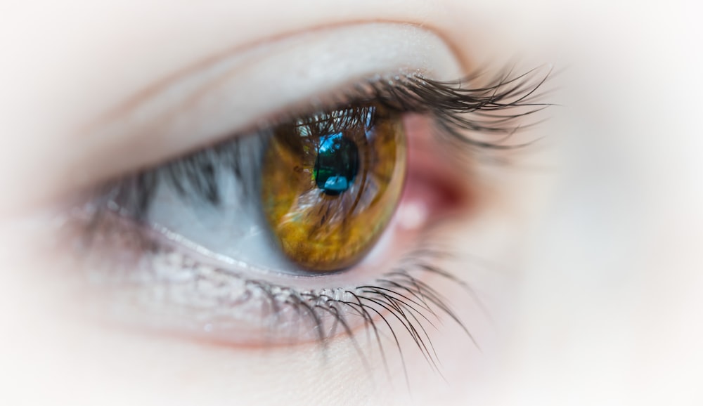 selective focus photography of human eye