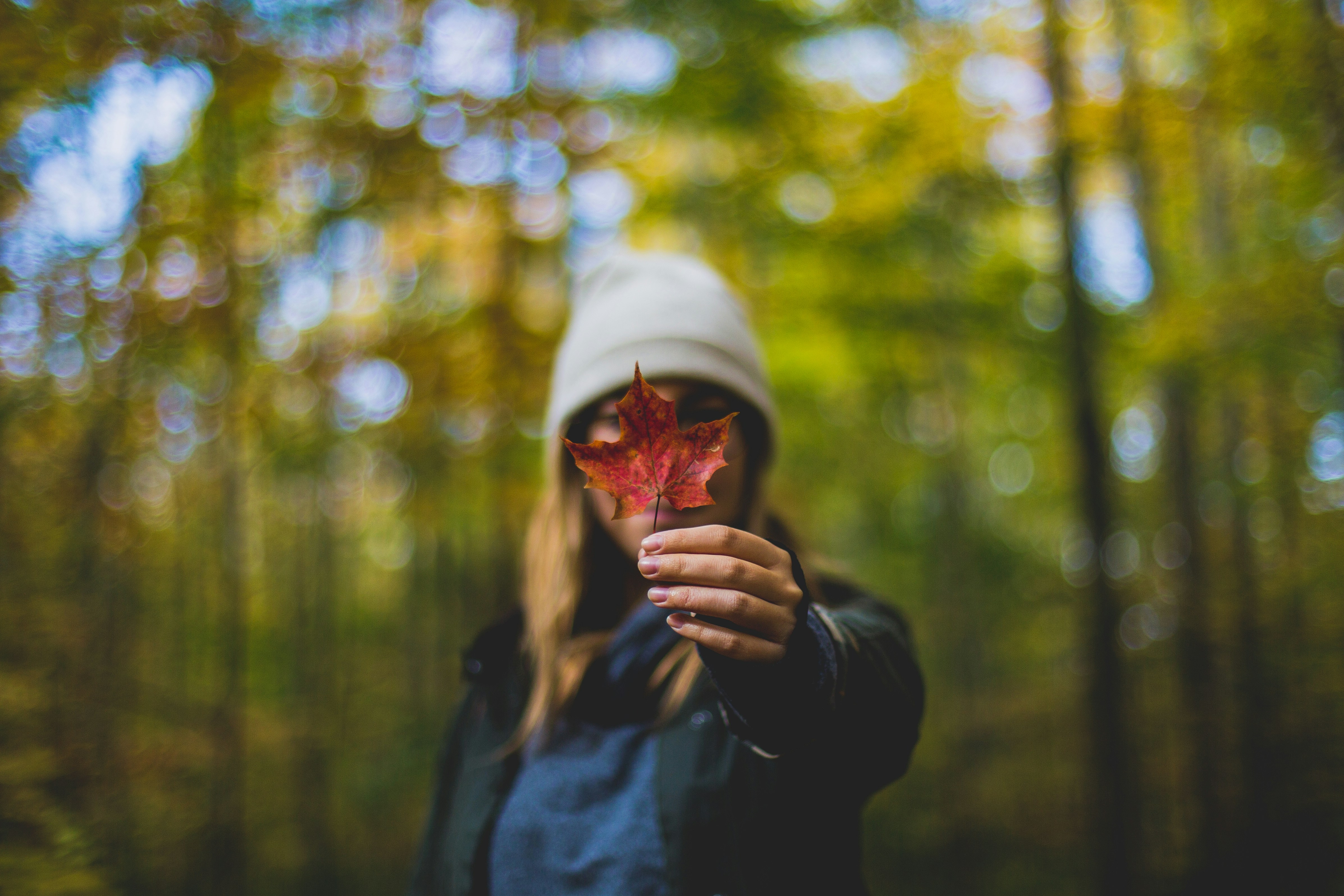 photo-1505767595906-d27f4cf630a6?ixid=M3wxMjA3fDB8MXxzZWFyY2h8MTZ8fGV4cGxvcmUlMjBkYXljYXJlcyUyMGxvY2F0aW9uc3xlbnwwfHx8fDE3NDI2ODA1NjB8MA\u0026ixlib=rb-4.0.3