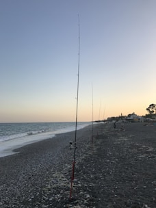 A selection of sturdy fishing rods leaning against a wooden dock at sunrise.