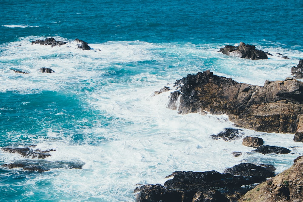 seashore during daytime