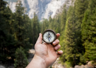 person holding compass facing towards green pine trees