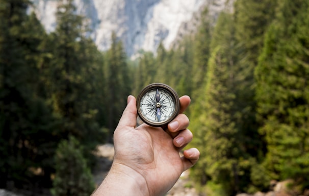 person holding compass facing towards green pine trees