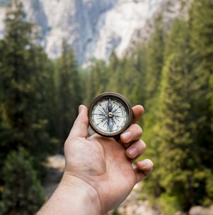 person holding compass facing towards green pine trees