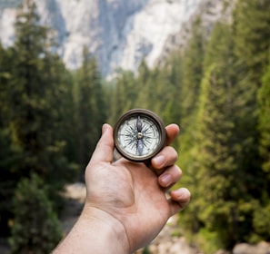 person holding compass facing towards green pine trees