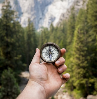 person holding compass facing towards green pine trees