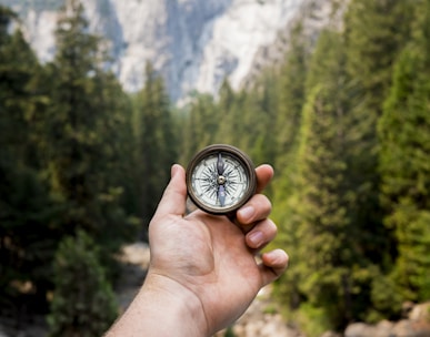 person holding compass facing towards green pine trees