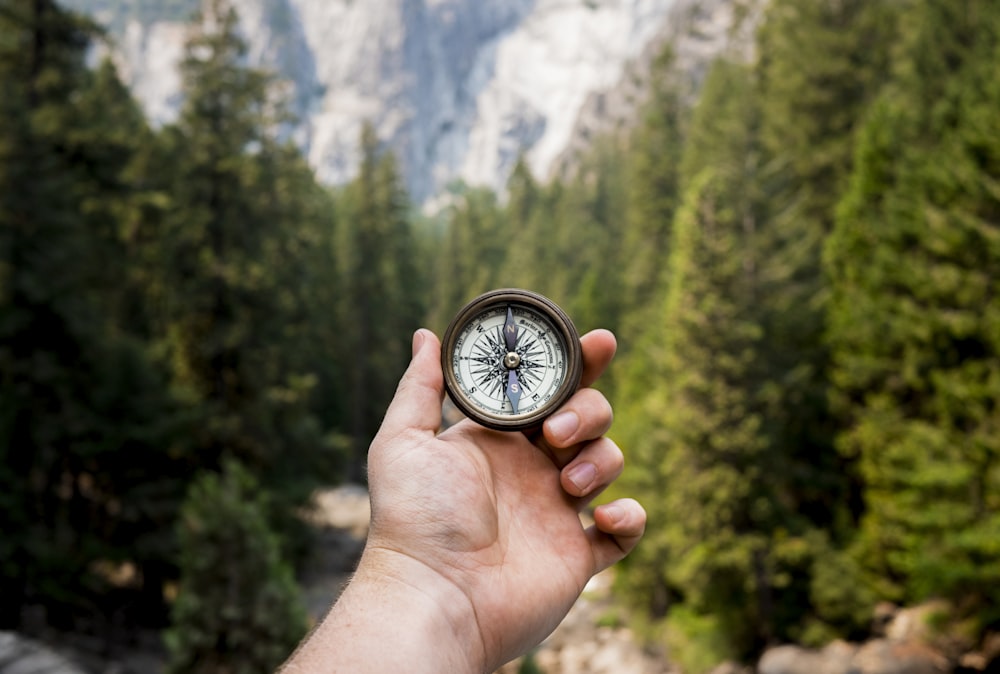 person holding compass facing towards green pine trees