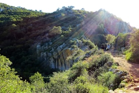 Tourists enjoying a guided hike on Komodo Island with lush green hills and wildlife