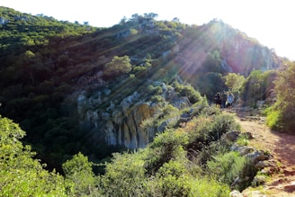 A group of happy tourists exploring the lush landscapes of Sabana de la Mar.
