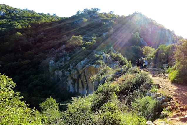 A group of happy tourists exploring a lush rural landscape with a local guide.