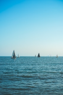 sailboats on body of water during daytime