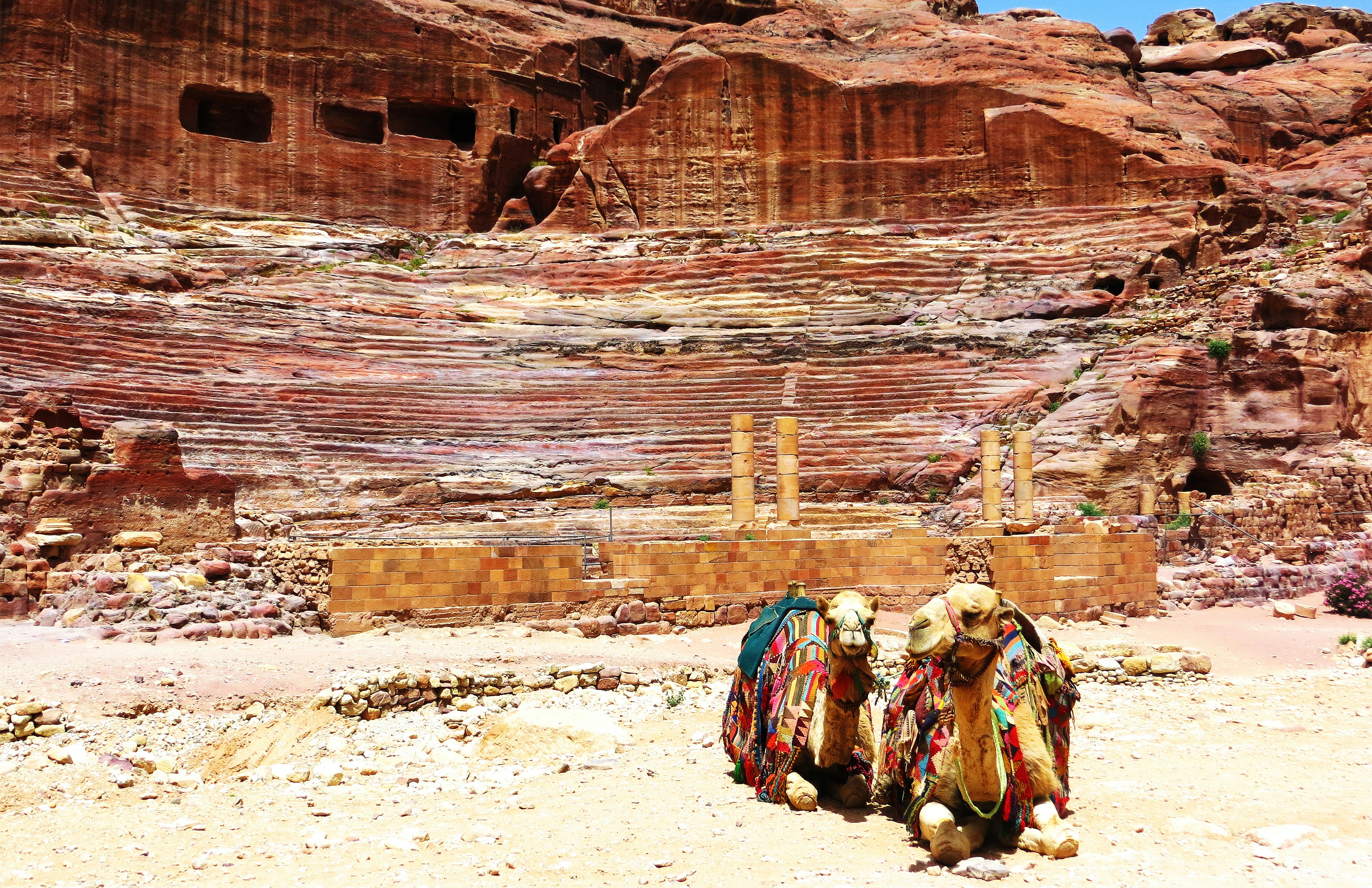 Two camels look on as they wait in front of the ruins of a Roman amphitheater in Petra, Jordan.