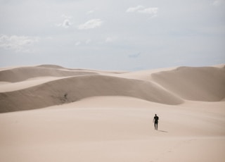 person waling on desert