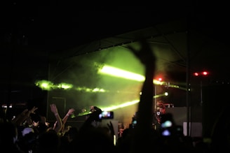 A lively concert scene with a crowd of people raising their hands and capturing the moment with their smartphones. Bright green and yellow lights illuminate the stage, where a DJ is performing. The mood is energetic and vibrant.