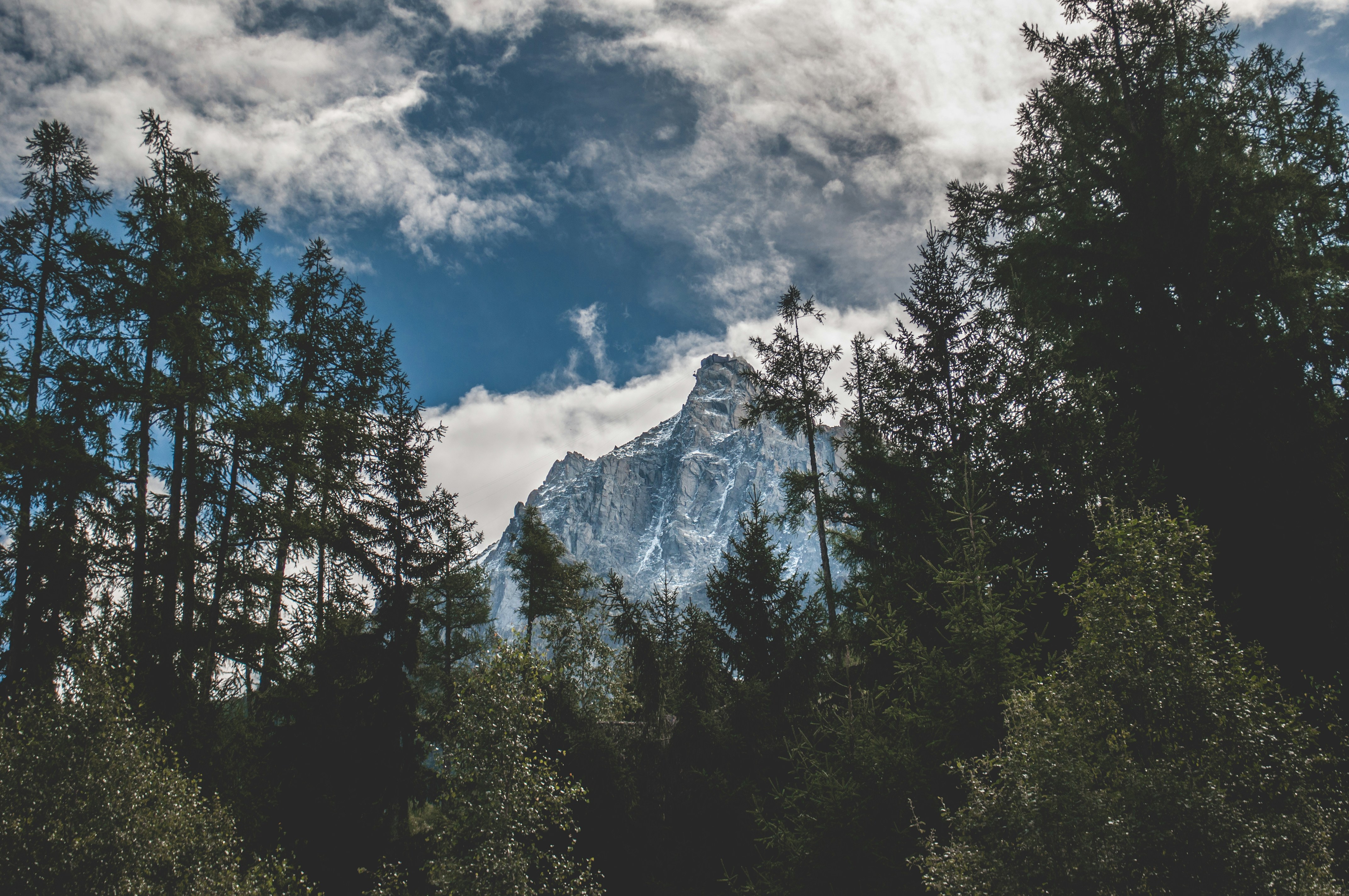 low-angle photography of green leaf trees and mountain, The Lonely Mountain