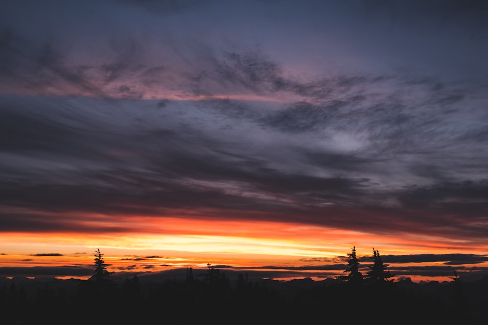 foto della silhouette del tramonto degli alberi sotto i cieli nuvolosi