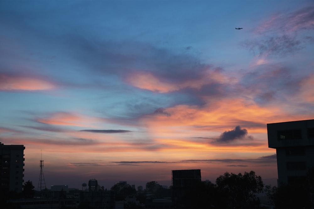 silhouette photo of buildings and trees at sunset