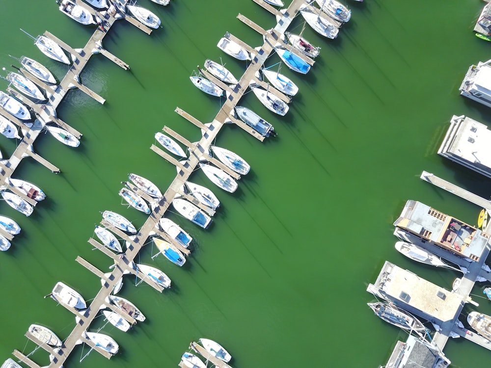 aerial photography of boats on dock