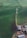 Aerial view of a green agricultural field featuring a wind turbine. Below the turbine, a farm with buildings equipped with solar panels is visible. There are cows grazing near the farm building and scattered in the field.