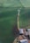 Aerial view of a green agricultural field featuring a wind turbine. Below the turbine, a farm with buildings equipped with solar panels is visible. There are cows grazing near the farm building and scattered in the field.