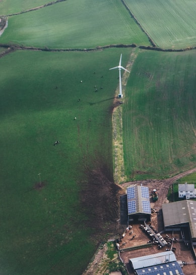 A team of professionals inspecting solar panels and wind turbines in a green field.